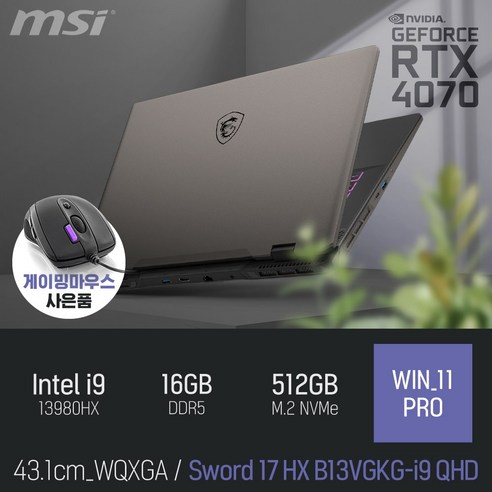 MSI 소드 17 HX B13VGKG-i9 QHD [게이밍마우스 & 패드 증정], WIN11 Pro, 64GB, 2TB, 블랙