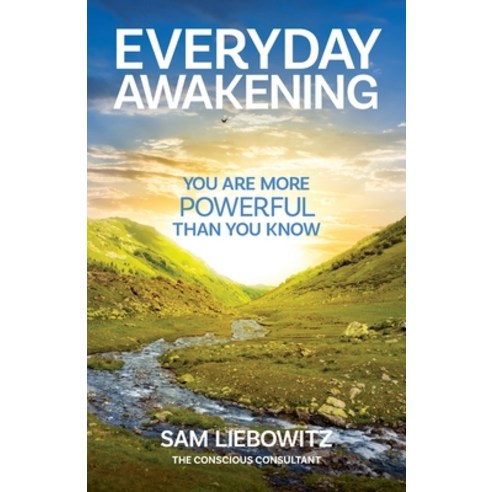 Everyday Awakening Paperback, Conscious Consultant
