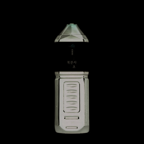 바로마시는 복분자초 식초음료 (쇼핑백없음), 2개, 1000ml