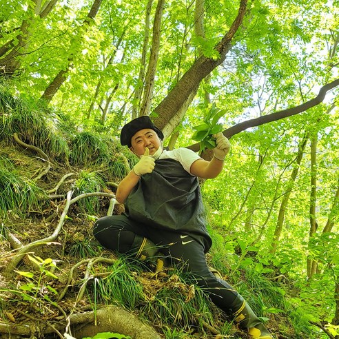 울릉도의 숨결을 담은 자연의 선물, 섬초롱 명이나물 장아찌