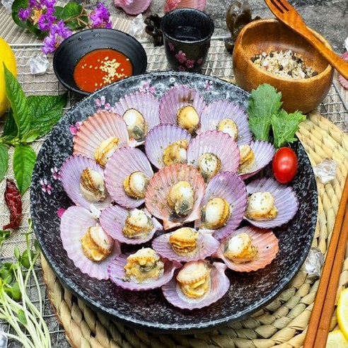 통영 제철 활 홍가리비 1kg (25미내외/ 3차세척/ 국내산), 1개