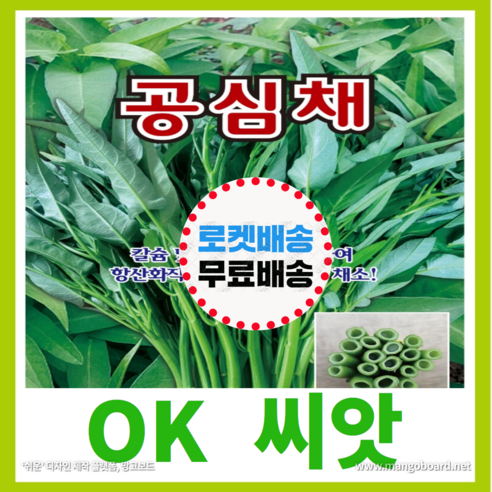[OK씨앗] [공심채] 공심채씨앗 모닝글로리씨앗 종자(오케이씨앗), 1개
