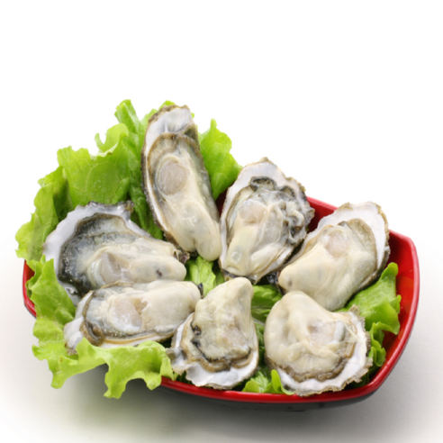 통영의 신선한 입망 석화굴로 건강하고 맛있는 식사를 즐기세요!