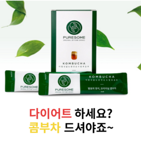 위센티브 홍차 콤부차 원액 20G 10포 콤푸차 콤부티 꼼부차, 20ml