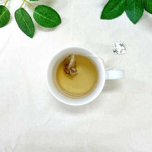 콧물 작별, 건강 만세! 반듯한청년 작두콩차로 환절기 건강 지키세요!