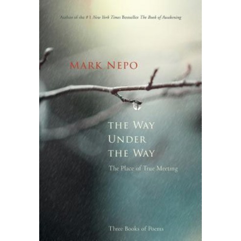 (영문도서) The Way Under the Way: The Place of True Meeting Hardcover, Sounds True, English, 9781622037544