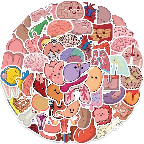 리무버블 스티커 캐리어 노트북 방수 다이어리 꾸미기 다꾸, 13. 신체신비