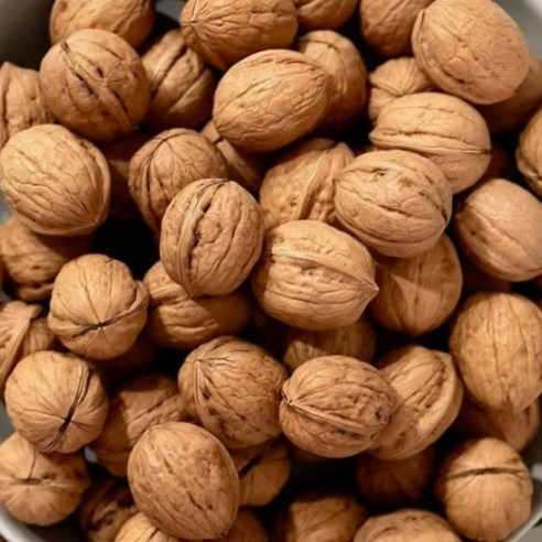 국산호두 햇호두 알호두 피호두 껍질얇은 2024년 9월생산 햇 꼬마호두 1kg 덤100g, 1개