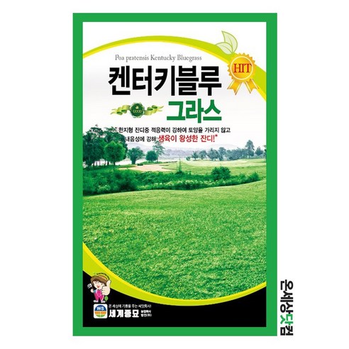 서양잔디 씨앗 켄터키 블루그라스 1kg – 정원, 공원, 운동장용 1개
