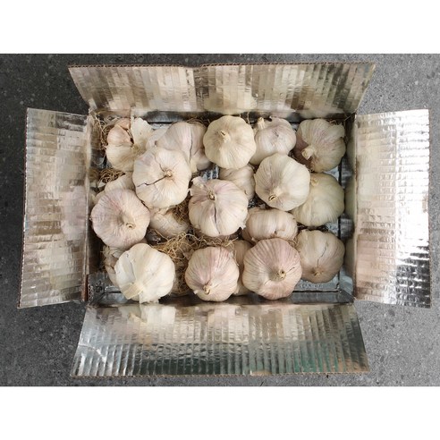 자연의 건강을 담은 통마늘