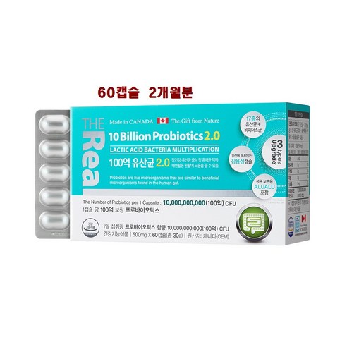 프로바이오틱스 프리바이오틱스 100억 코 장면역유산균 소장 대장 생존 생균 장밀착 장용성 유산균 2개월분, 500mg, 2박스