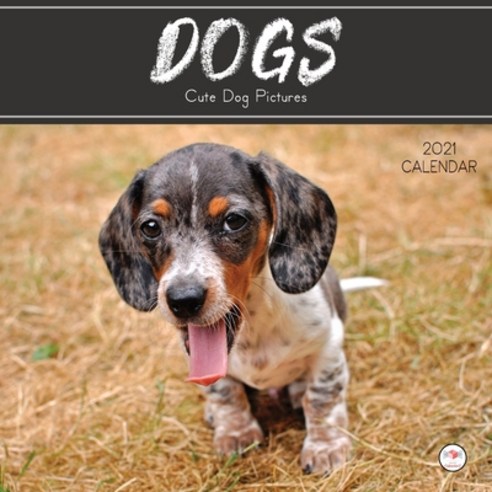 2021 Calendar Dogs: Cute Dog Images Theme Mini 8.5 x 8.5 12 Month Calendar Planner For Home Office o... Paperback, Independently Published, English, 9798708624468