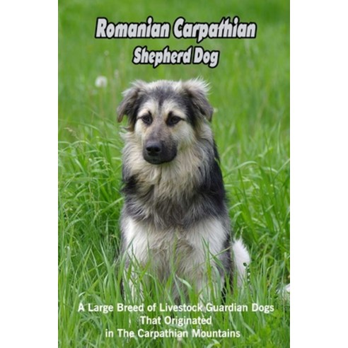(영문도서) Romanian Carpathian Shepherd Dog: A Large Breed of Livestock Guardian Dogs That Originated in... Paperback, Independently Published, English, 9798462768361