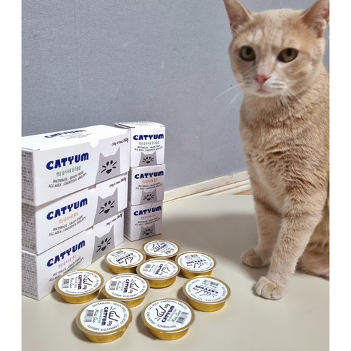 베러펫 캣냠 고양이습식사료 고양이캔 고양이사료 장어 30g 12개, 소고기