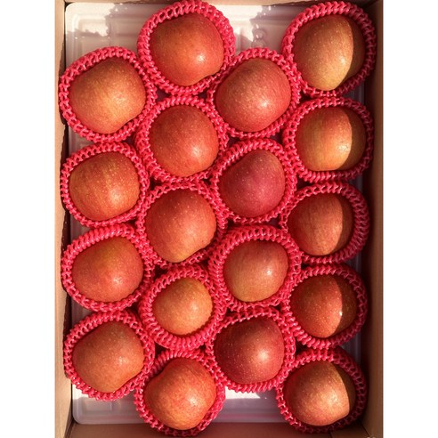 청송의 햇살을 담은 달콤한 꿀사과, 못난이로 즐기는 풍요로운 맛!