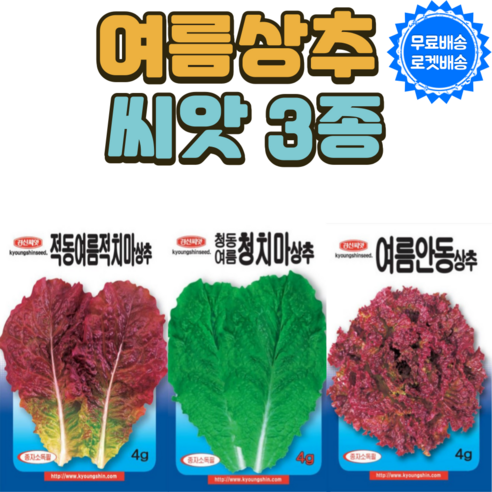 여름 상추씨앗 3종 적상추 청상추 꽃상추 잎채소 씨앗 씨, 근대1kg, 1개