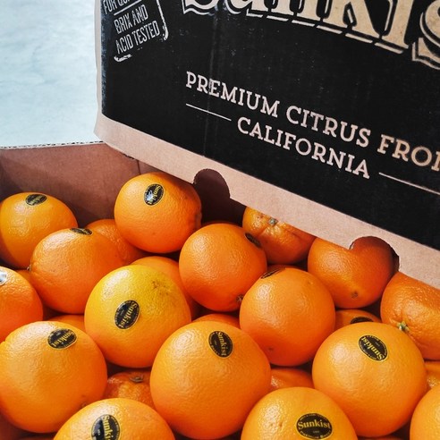 햇살 품은 검은 보석, 고당도 블랙라벨 오렌지와의 황홀한 만남 오렌지10kg