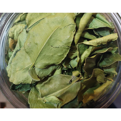 [빠른배송] 건조 라임 잎 100G DRIED KAFFIR LIME LEAF 3대 향신료 동남아식자재 태국라임잎 건라임잎 카피르, 1봉