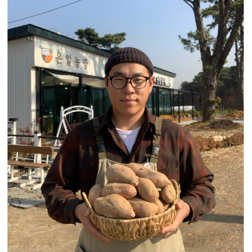 못난이 강화 속노랑고구마 5kg 10kg 은일농장 직접 재배한 강화도 호박고구마, 1개, 못난이 터짐