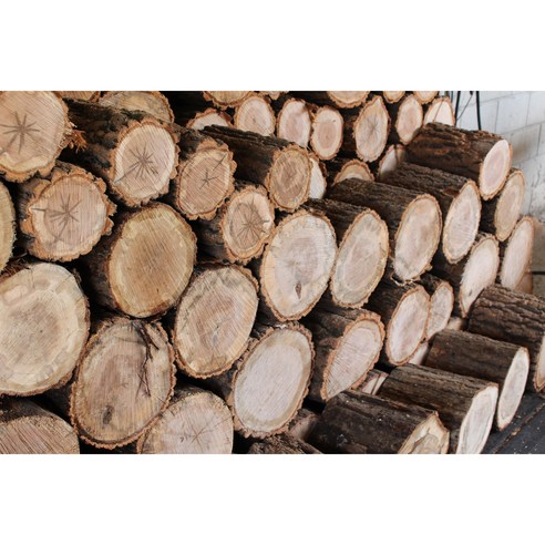 따뜻한 겨울을 위한 최고의 선택