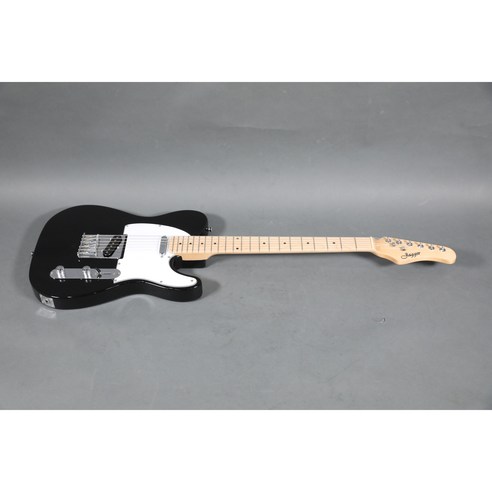 Jagger 일렉기타, 당신의 스타일을 찾아가는 여정