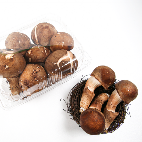 달큼할배 국내산 참송이버섯 가정용 선물용 500g 1kg, 못난이 참송이 버섯 1kg /2pk, 1개