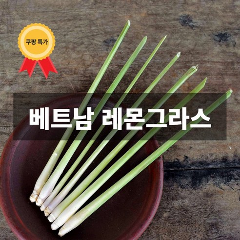 나만의건강by설리마켓 레몬향허브 베트남 생 레몬그라스, 5kg, 1개 - 기타잎줄기채소 | 쿠팡