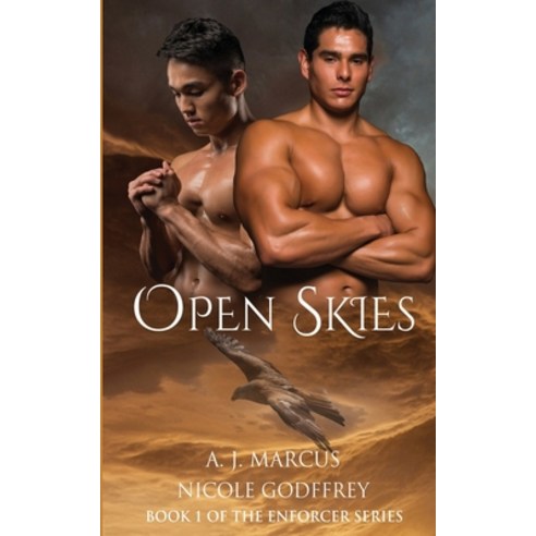 (영문도서) Open Skies Paperback, Mystichawker Press, English, 9781945632532