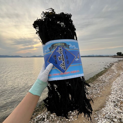 남해안의 건강한 선물, 거제 돌미역으로 풍요로운 식탁을!