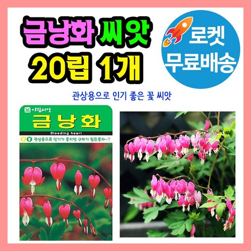 금낭화 꽃 씨앗 (합 20립) 꽃씨 야생화 종자, 1개
