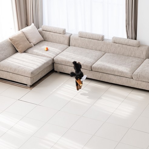 강아지를 위한 안전한 매트