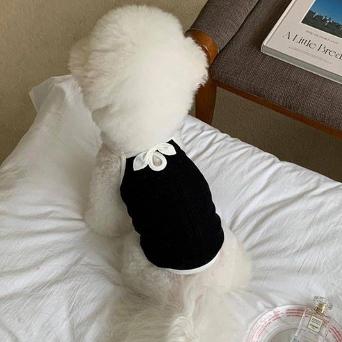 지지주 조끼 강아지옷 고양이옷 반려견옷 반려묘옷, 1개, 블랙