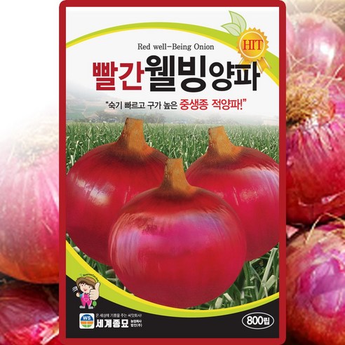 세계종묘 빨간웰빙 양파 씨앗 800립 적양파 씨 종자, 단품