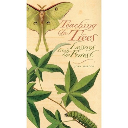(영문도서) Teaching the Trees: Lessons from the Forest Paperback, University of Georgia Press, English, 9780820329550