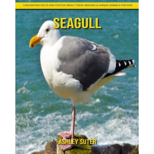 Seagull: Fascinating Facts and Photos about These Amazing & Unique Animals for Kids Paperback, Independently Published