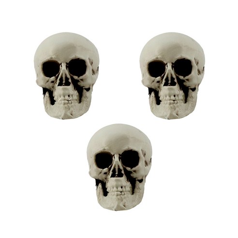 두개골 해골 모형, 1세트, 4호(7.5X6X5.3cm) 3개입