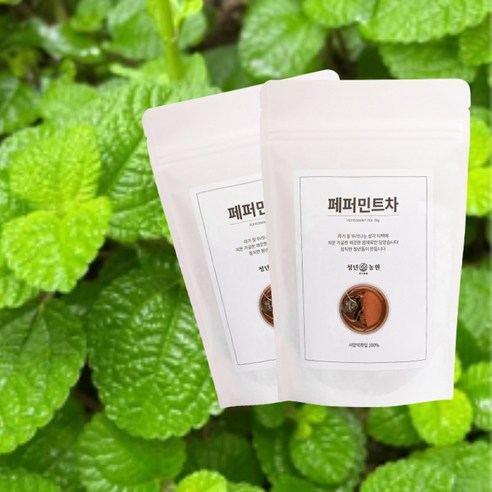 청년농원 저온가공 페퍼민트 삼각티백, 50g, 50개입, 2개