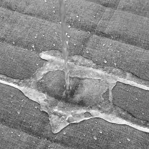 안전하고 편안한 반려동물 여행의 시작