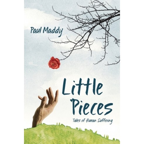 Little Pieces: Tales of Human Suffering Paperback, Outskirts Press, English, 9781977233257