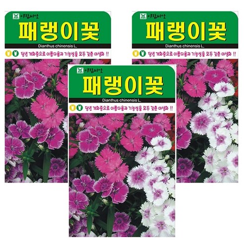 패랭이꽃 씨앗 꽃씨 꽃 종자, 3개