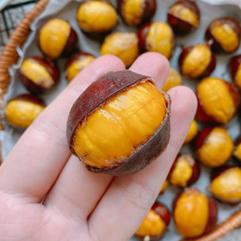 햇밤의 황홀한 맛, 특사이즈 알밤을 놀라운 가격으로!