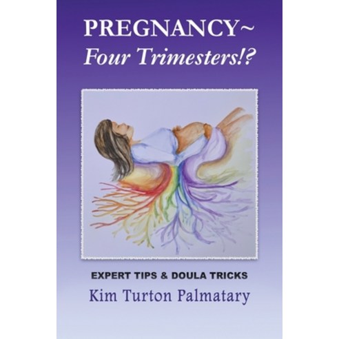 (영문도서) Pregnancy Four Trimesters!? Paperback, AMZ Book Publishing Services, English, 9781917239929