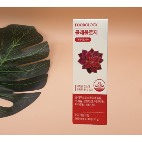 서현 빨간통 다이어트