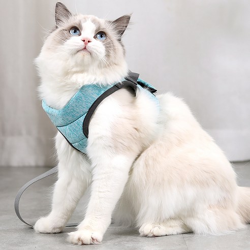 고양이하네스 고양이목줄 고양이 전용 산책줄 가슴줄, Green, 1개