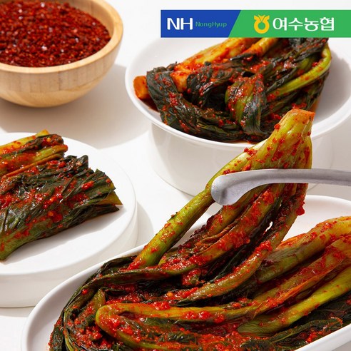 [여수농협] HACCP 100%국산 돌산 갓김치, 1세트, 1g