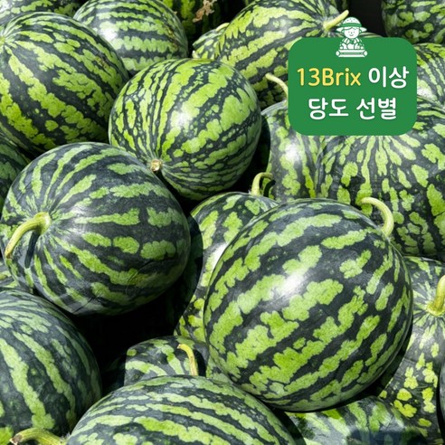 최소 14brix 고당도 선별 함안 하우스 수박 프리미엄 하우스 수박 농가 직배송, 1개, 5kg