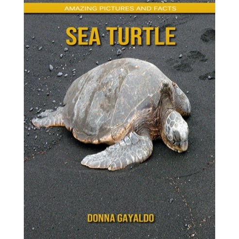 Sea turtle: Amazing Pictures and Facts Paperback, Independently Published
