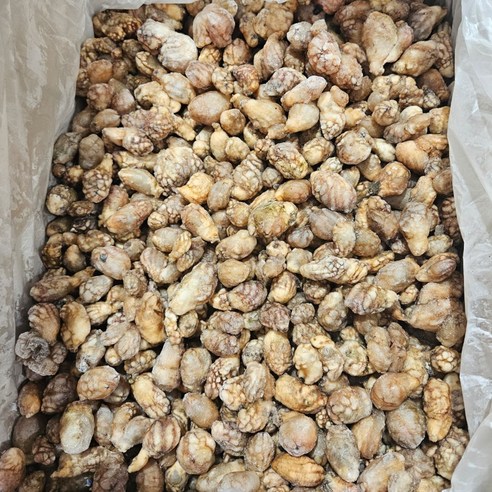 싱싱한 오만둥이, 집에서 간편하게 즐기자!