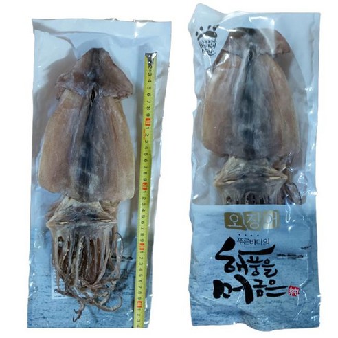 [모으다쇼핑] 마른 오징어 400g 반건조오징어 2kg 국내산 동해 포항 해풍을 머금은, 2. 반건조 오징어, 3. [중] 1kg (10마리) 내외, 5개