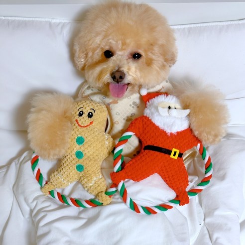 펫카 크리스마스 강아지장난감 터그놀이 삑삑이 인형 산타+쿠키 SET, 1+1, 2개